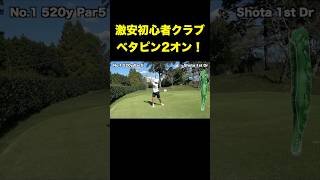 プロが激安初心者クラブ使って2オンイーグル！？　#shorts