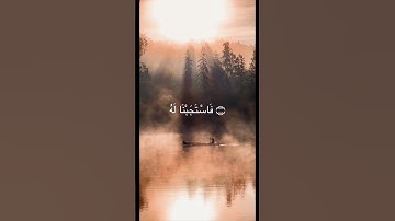 و زكريا اذ نادا ربه سورة الانبياء تلاوه خاشعه ومؤثره جدا
