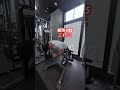 Swap series : back extensions #homegymgains #workoutvariations