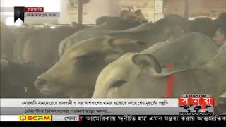 কোরবানি সামনে রেখে খামারগুলোতে চলছে শেষ মুহূর্তের প্রস্তুতি | Eid Ul Azha | Eid Ul Adha