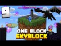 Minecraft Skyblock, But You Only Get ONE BLOCK (#9) (FINALE)