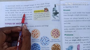 Science Booster, class 4, Chapter 5, The world of Microbes, Part 1