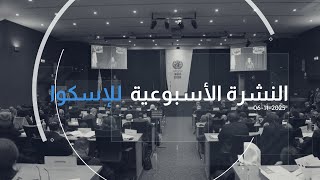 العدد 321 من النشرة الأسبوعيّة للإسكوا