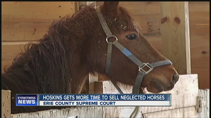 Beth Hoskins given more time to give up horses