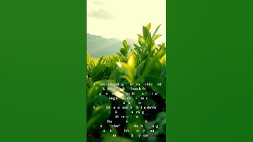 Lá trà xanh và những tác dụng tuyệt vời #shorts