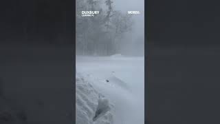 Snow piling up in Duxbury; Officials calling in National Guard