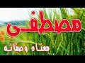 معنى اسم مصطفى و صفات حامل هذا الإسم !!