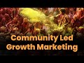 What is Community Led Growth Marketing? | How to build a community from social media