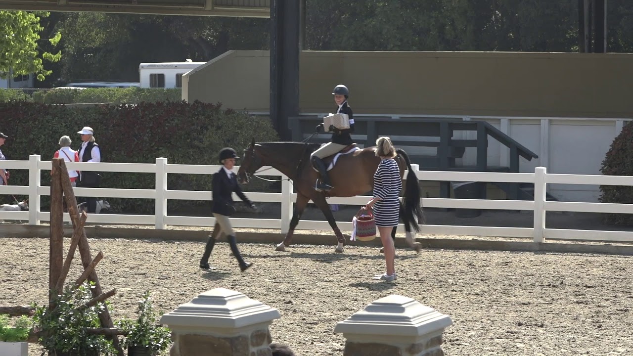 207 Amateur Hunt Seat Equitation Over Fences 36 & Over RESULTS