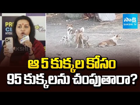 కుక్కలు.. కుక్కలు.. కుక్కలు.. | Renu Desai Fire On Killing Stray Dogs | @SakshiTV - SAKSHITV