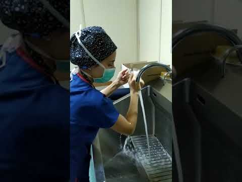 Video: Steril İşleme Teknisyeni Nasıl Olunur: 4 Adım