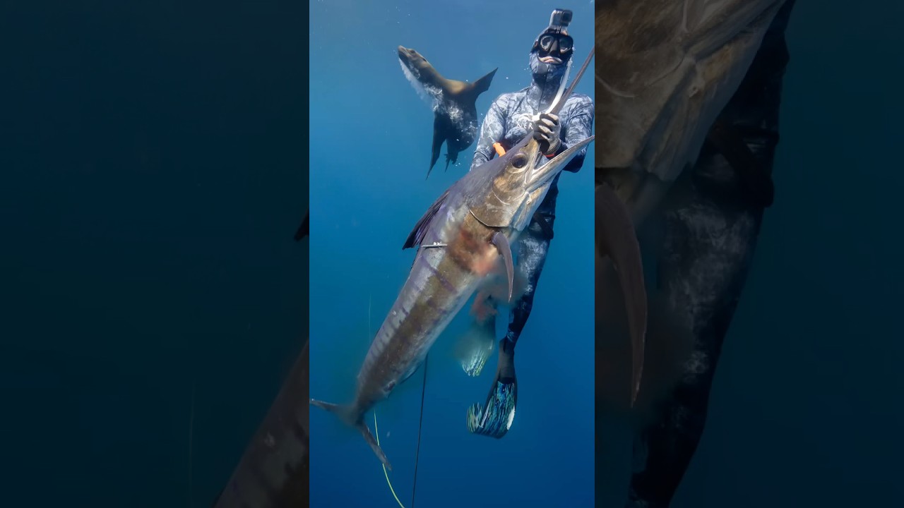 Подборка лучших моментов из прошлогодней поездки в Мексику. Посмотрите полное видео! 🤘🤘 