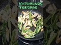 ピーマンとちくわのマヨ炒め！追いマヨ最高♪︎　#shorts #料理