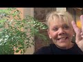 Life Vlog