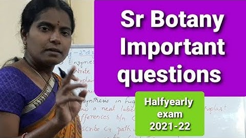 ||sr Inter Botany halfyearly important questions ||halfyearly Botany 2nd year important list||