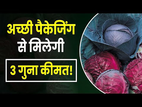 Red Cabbage Farming | Suhas Bali Discusses Packaging Importance | Icons of Bharat