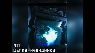 NTL - Шапка-невидимка