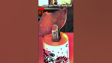 time lapse video Ice melt #shorts #ytshorts #entertainment