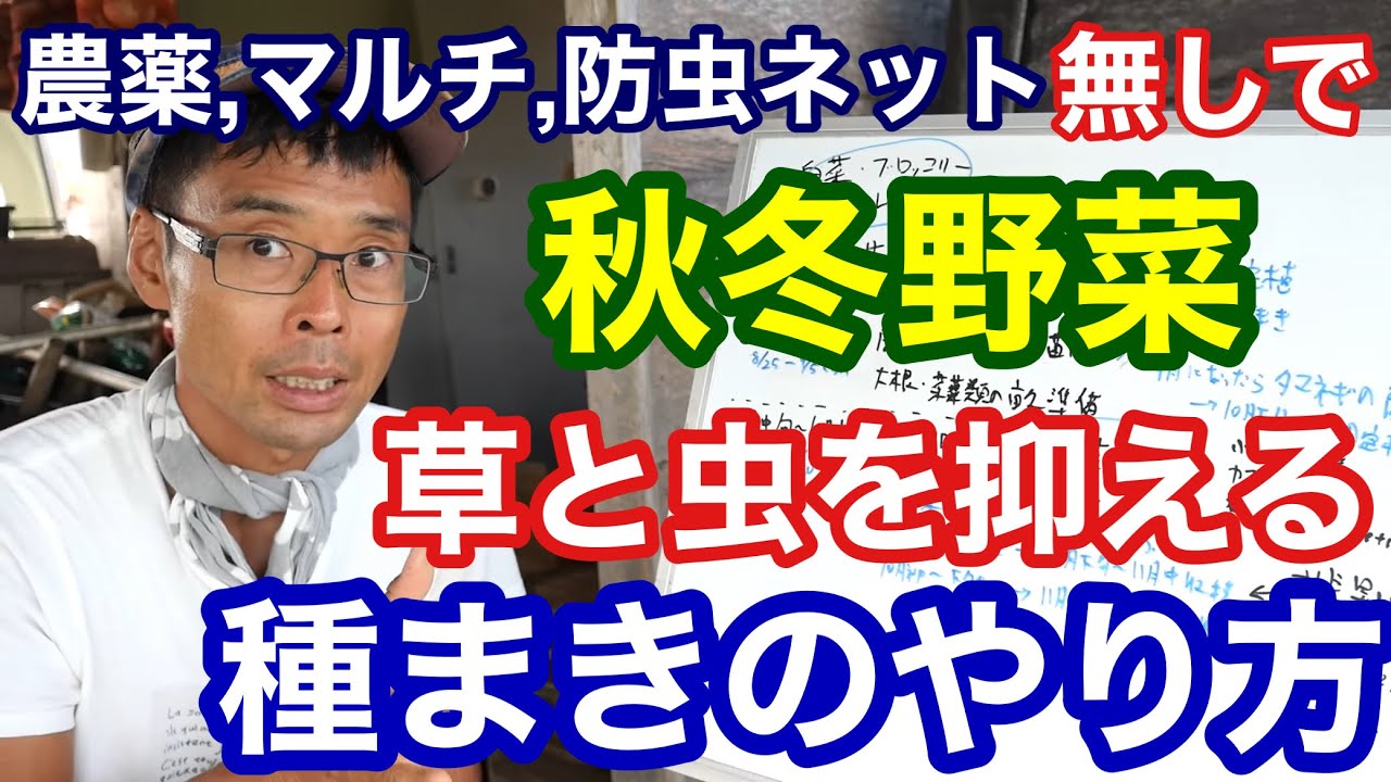 【保存版】農薬･ビニールマルチ･防虫ネットを使わずに秋冬野菜を育てるポイント徹底解説《無農薬/無肥料/自然農/自然栽培》