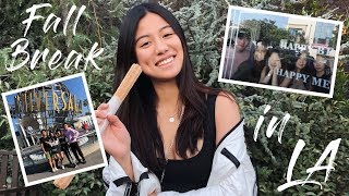 FALL BREAK: reunion with friends + got in a car crash?! + trip to universal studios!