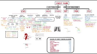 Approach to Chest Pain screenshot 5