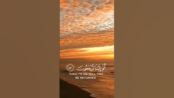 سورة العنكبوت #قرآن كل نفس ذائقة الموت