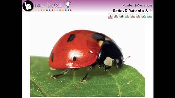 CC7310 Number & Operations: Ratios & Rate of Multiplication & Division - Learn the Skill Mini