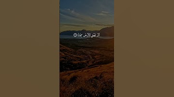 سورة المرسلات { ٢٠ ــ ٢٨ } #ياسر_الدوسري انشر تؤجر #القران_الكريم