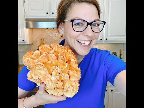 Chicken of the Woods | Finding, Prepping, Dehydrating