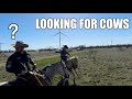 Search  destroy  moving cows