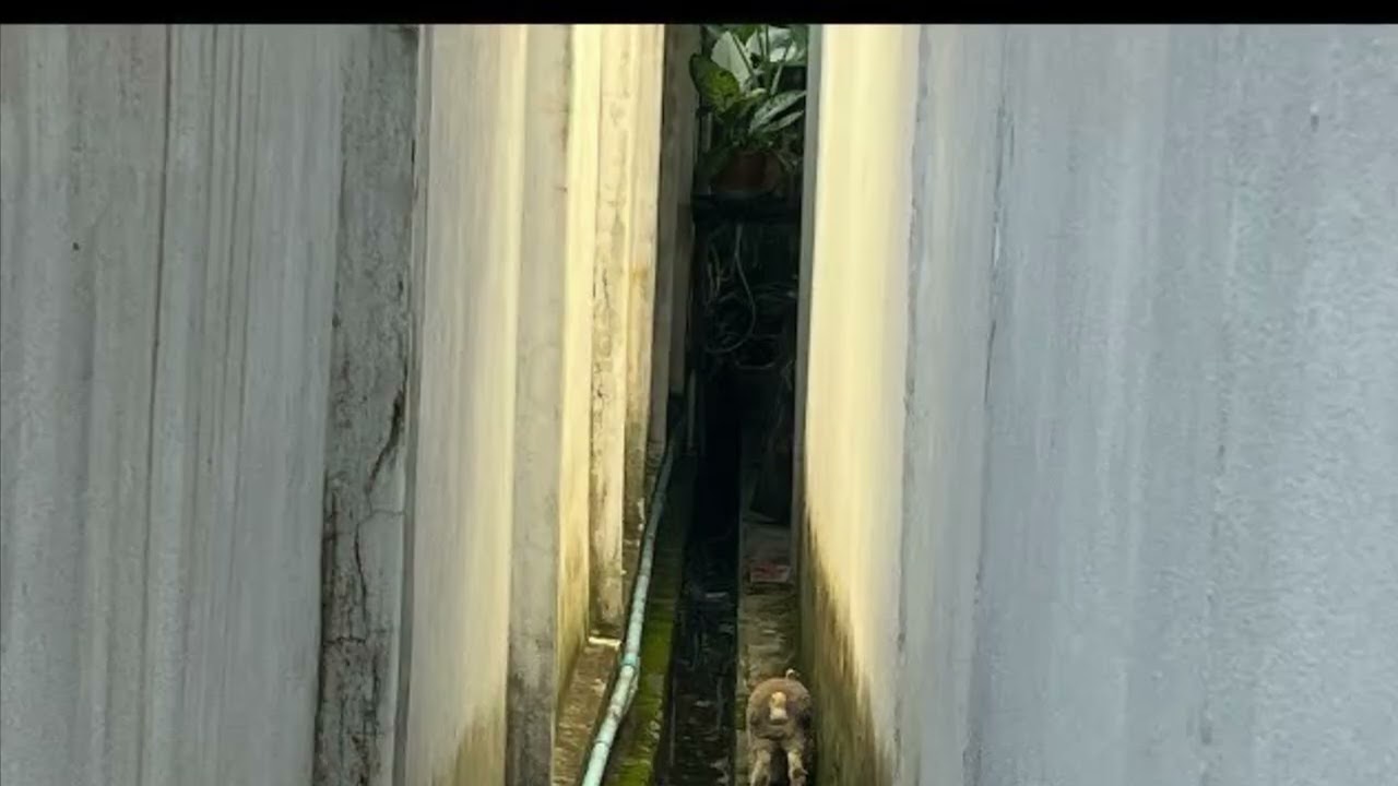 ที่คั่น (Partition)