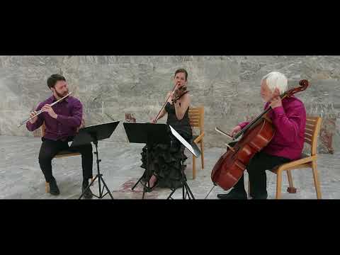 J. Haydn: Londoner