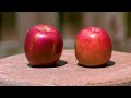 Epic Slow Mo Montage!