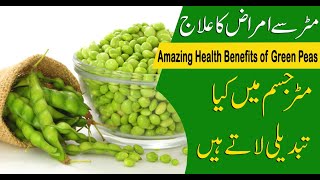 Matar Khane Ke Fayde | Matter k Fawaid | Health Benefits Green Peas مٹر کھانے کے فوائد