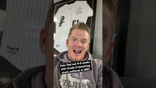 REKAP ®: ⚾️ Chicago White Sox’ Kyle Teel out 4-6 weeks after injury suffered in WBC