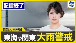 ウェザーニュースの配信のサムネイル画像