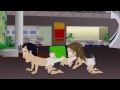 Middle of video