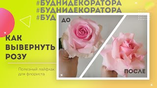 Как вывернуть розу / Практический мастер класс для флориста