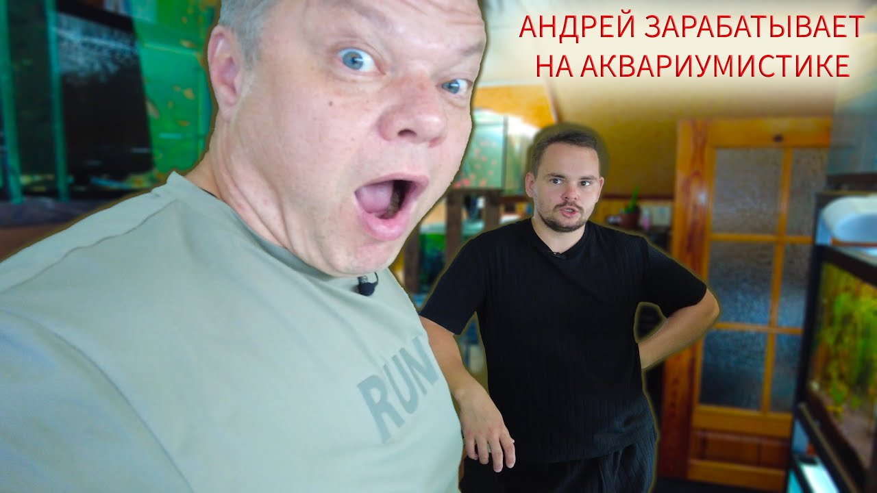 Андрей зарабатывает на аквариумистике