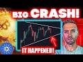 Crypto meltdown bitcoin crashes cardano in downward spiral