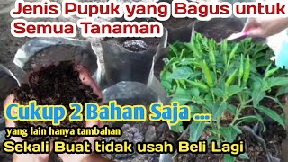 *Pupuk yang bagus untuk semua tanaman !! Sekali di beri cukup selama nya