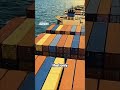 India's Secret Trade Breakthrough The New Zealand Deal