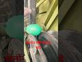 technical video #viral