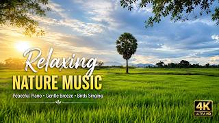 Peaceful Green Fields Under the Cloudy Sky  Relaxing Nature Music screenshot 4