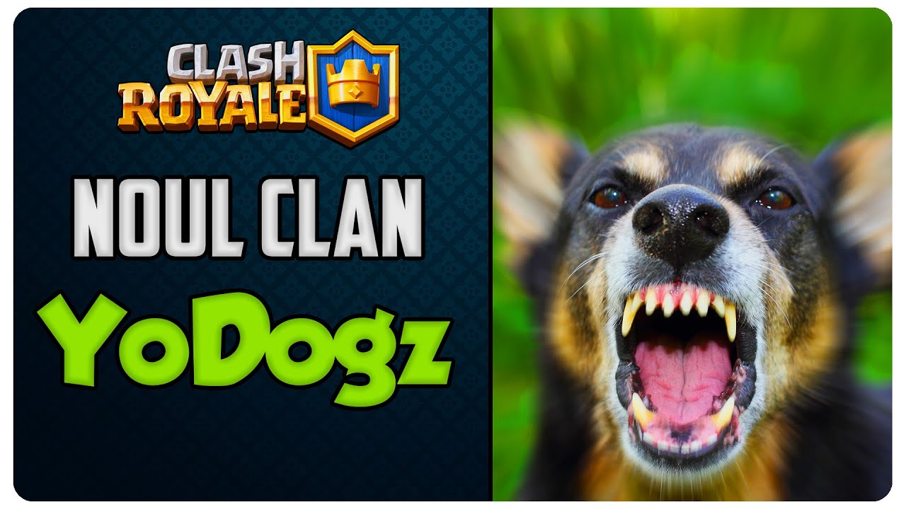 Noul clan | Clash Royale România