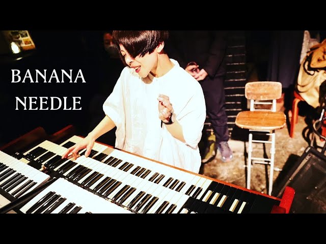 Live 2023］vanilla 66 / Inco / BANANA NEEDLE Hammond Organ Trio