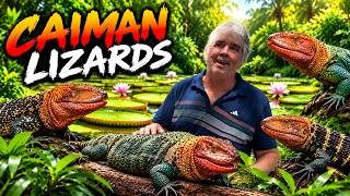 Victoria Amazonica Water Lilies and Caiman Lizards