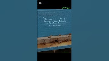 سورة النحل بصوت الدوسيرى #ترند_اليوم #اكسبلور #قرآن #كرومات_قرآن#سورة_النحل#الدوسرى#quran#islam