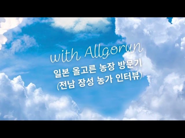 전남 장성 농가 - 올고른 일본 미야키 망고 농장 방문/체험기