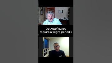 Do autoflowers require a night period?
